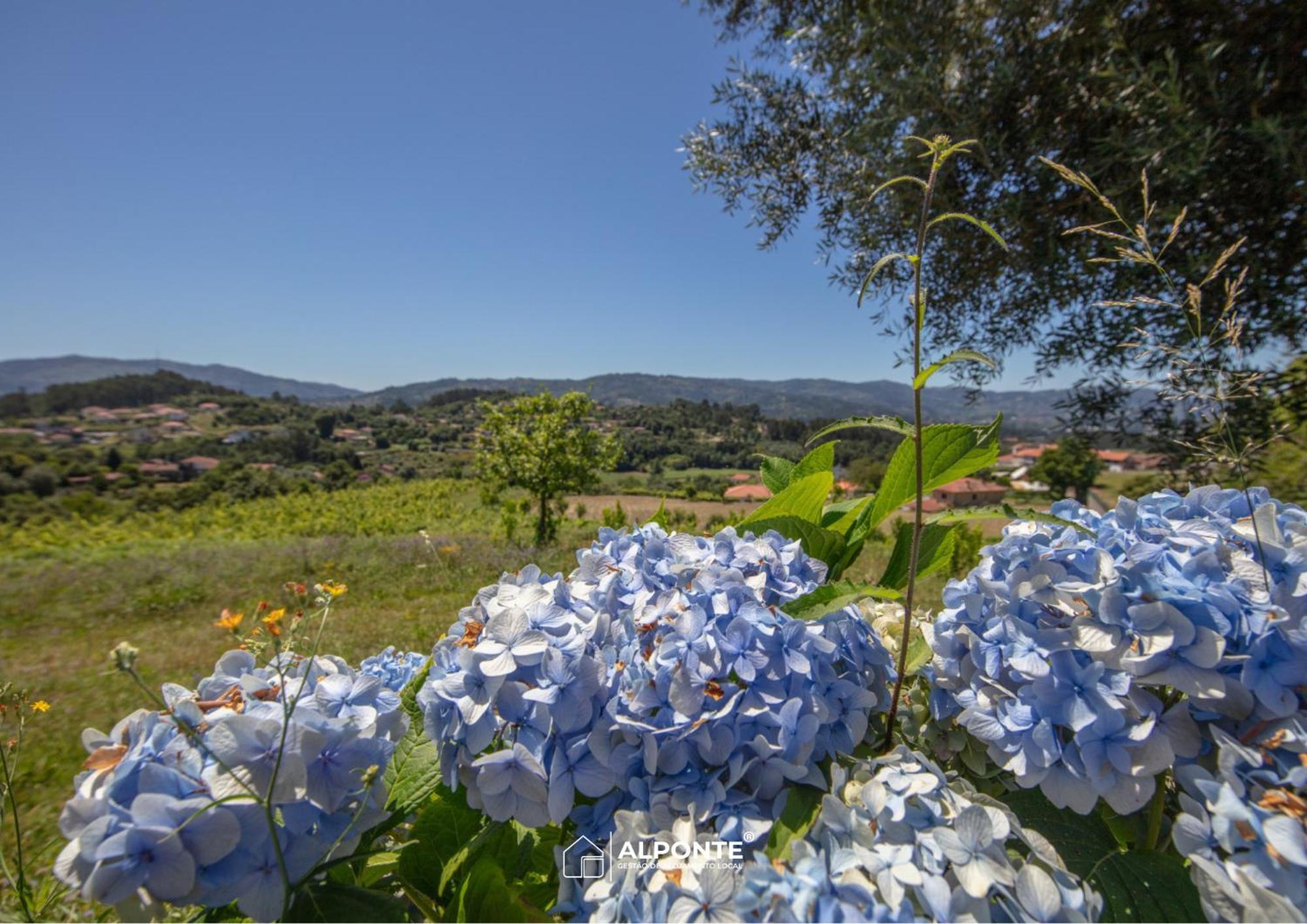Quinta Da Costeira - Casa Azul Do Limoal By Alponte Villa Arcos de Valdevez Dış mekan fotoğraf