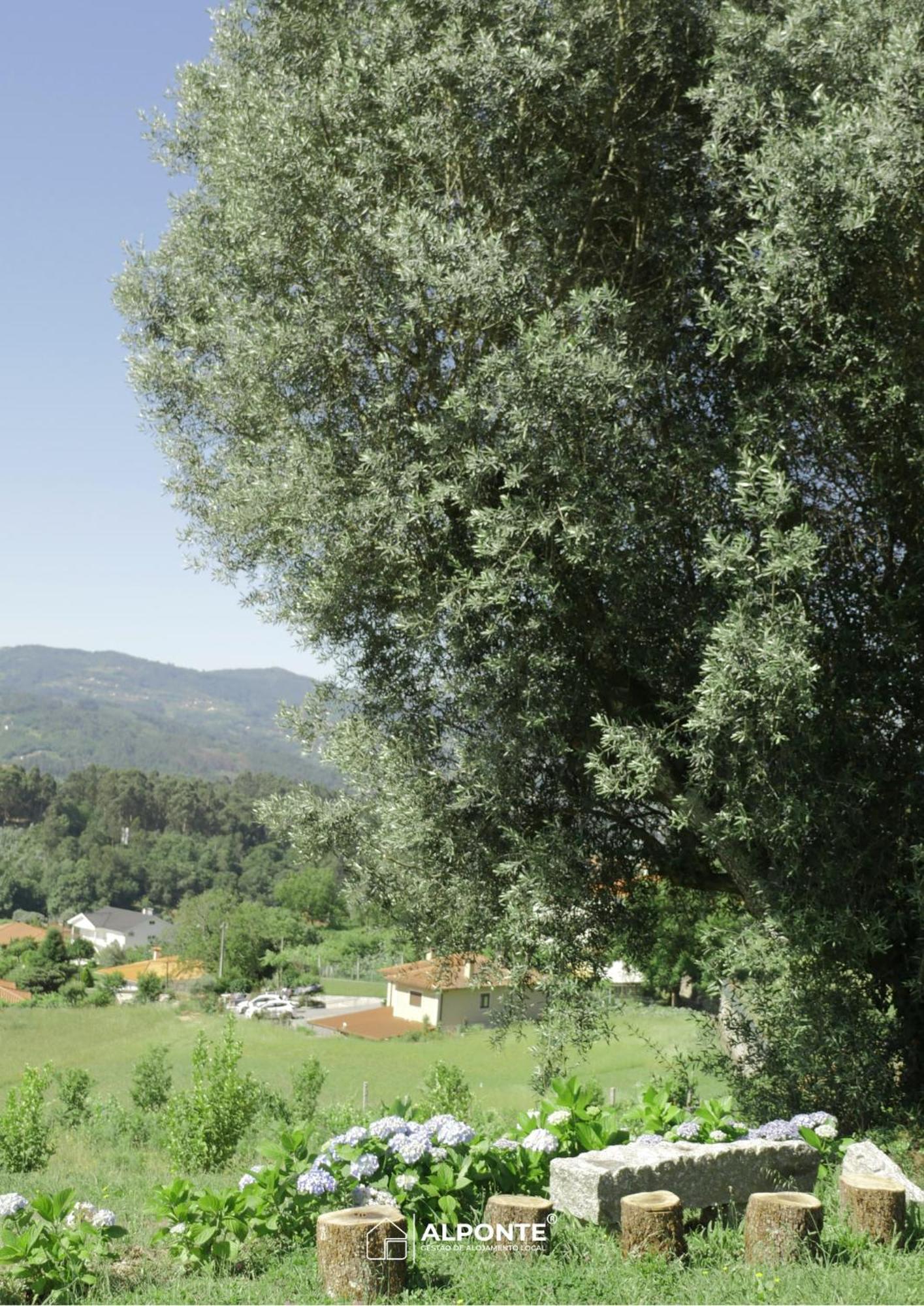 Quinta Da Costeira - Casa Azul Do Limoal By Alponte Villa Arcos de Valdevez Dış mekan fotoğraf