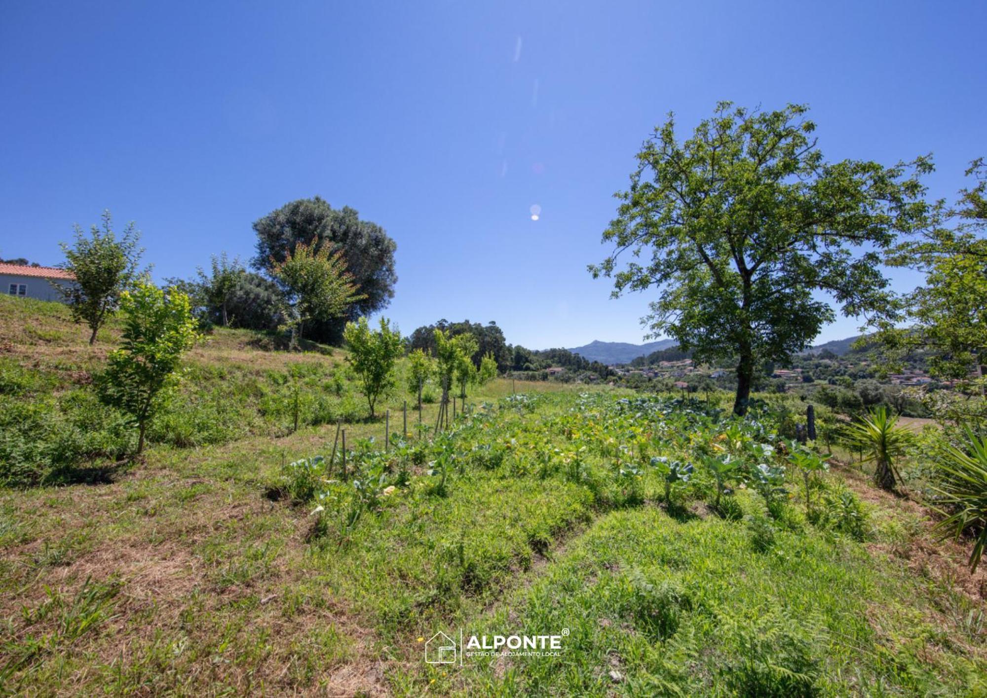 Quinta Da Costeira - Casa Azul Do Limoal By Alponte Villa Arcos de Valdevez Dış mekan fotoğraf
