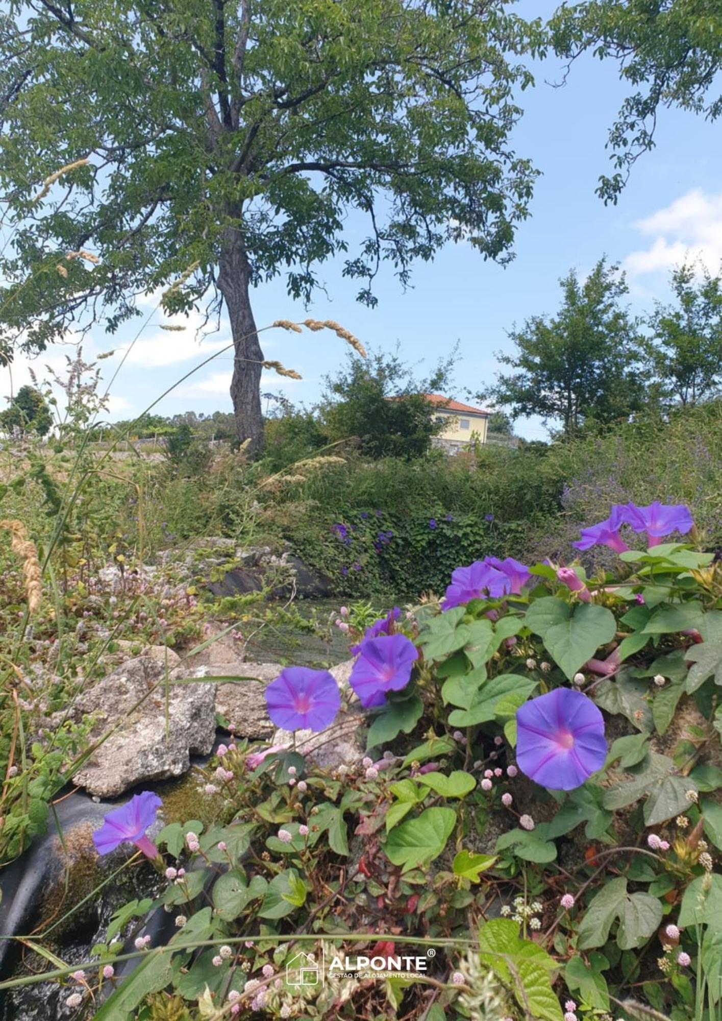 Quinta Da Costeira - Casa Azul Do Limoal By Alponte Villa Arcos de Valdevez Dış mekan fotoğraf